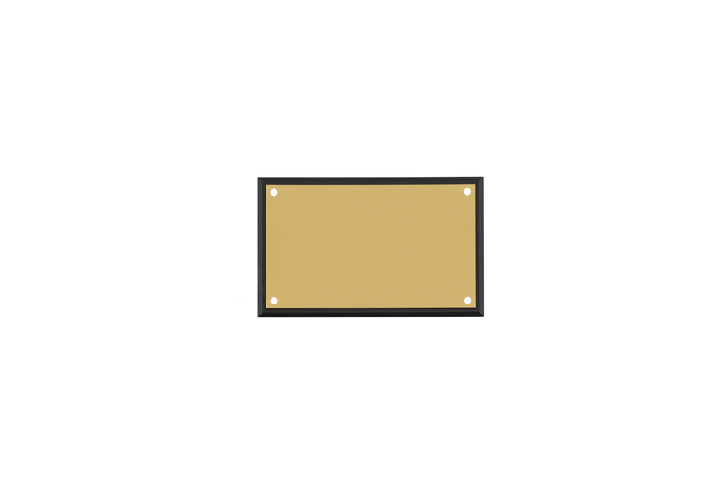 4x2 Black Edge Plastic Breast Plate Gold
